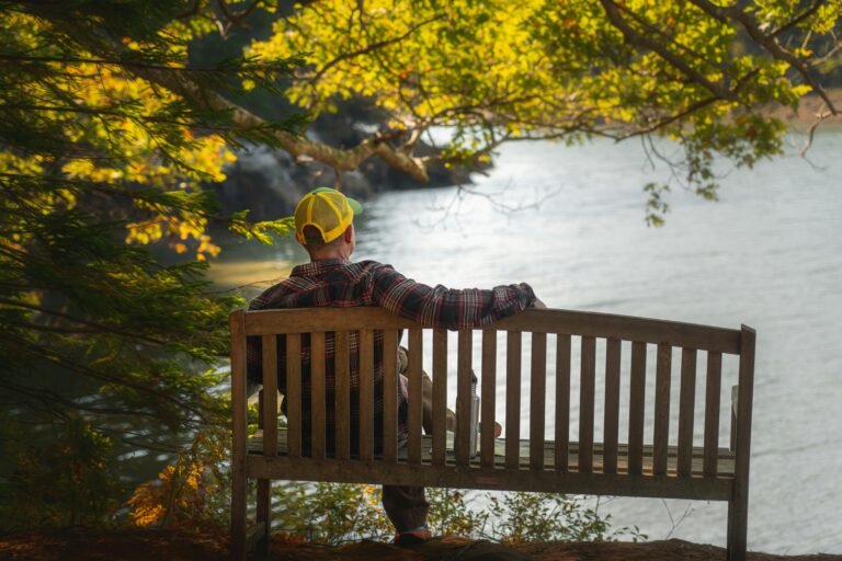 person siting in jungle