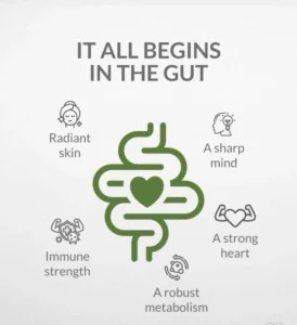 10 Smart, Science-Based Habits for Better Gut Health