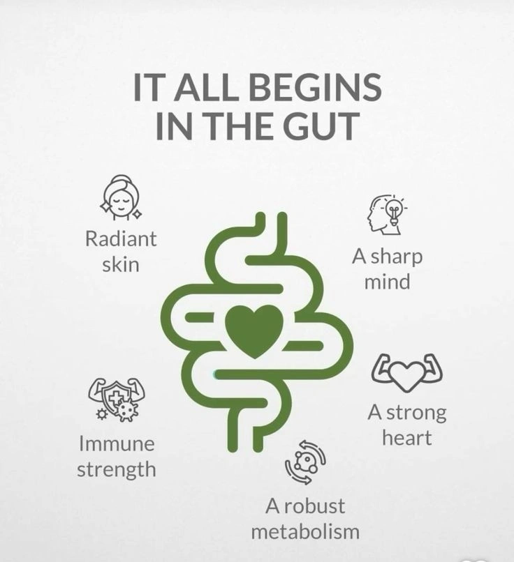 Habits for Better Gut Health