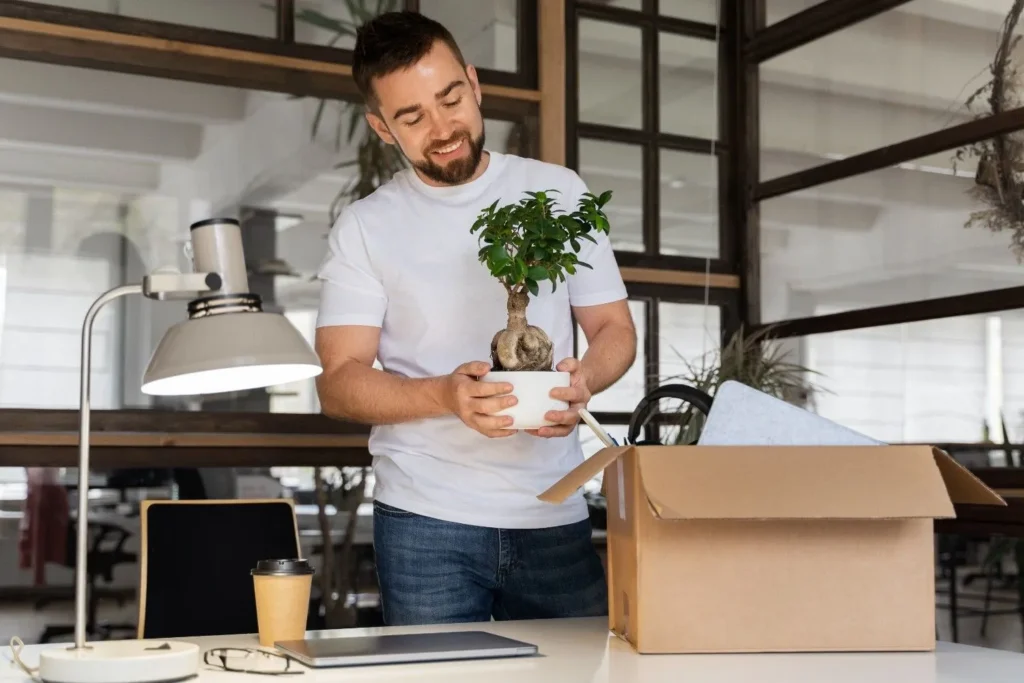 Best Places to Buy Plants Online for Healthy, Happy Homes