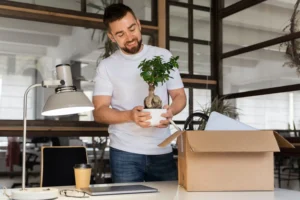 Best Places to Buy Plants Online for Healthy, Happy Homes